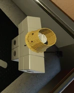 Top view of Lampert showing a rare variant of his bulb.