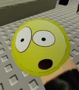 Coolio Toolio being inspected.