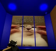 Someone holding a cat with a caption saying that, "me whenever i see a cat outside that probably has 8283738 diseases".