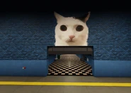 A door leading to a hallway.