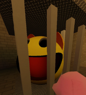 DrRETRO inside of the cage.