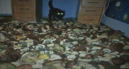 A black kitty in a blue room filled with mushrooms[4]
