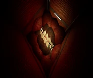 15454760839.png (358 KB) UMC in Frightening Floor