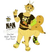 Nan's design also drawn by TheCanvasCreature.