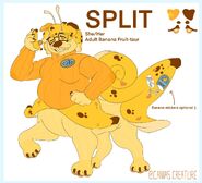 An updated reference sheet for Split.