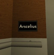 A random player's username in the server.