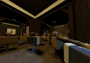 The scope being used.