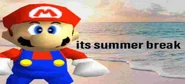 Mario saying, "its summer break"
