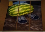 A watermelon wearing slippers.