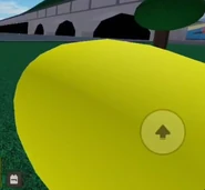 A player holding Coolio Toolio.