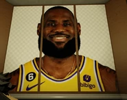 A """transparent""" crop of LeBron James.