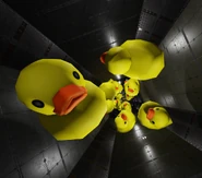 An obstacle with floating ducks.