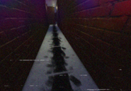Scary Mike's point of view in the Funny Maze floor.
