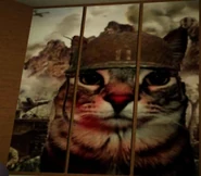 Zazu with a thousand yard stare.