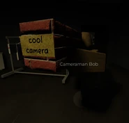 Cameraman bob.png (213 KB)