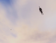 Two Followers seen in the sky, with one far away.