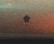 A grainy picture of a dark figure with long legs standing outside near a road.