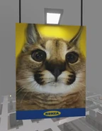 A sign with a caracal kitten on it.