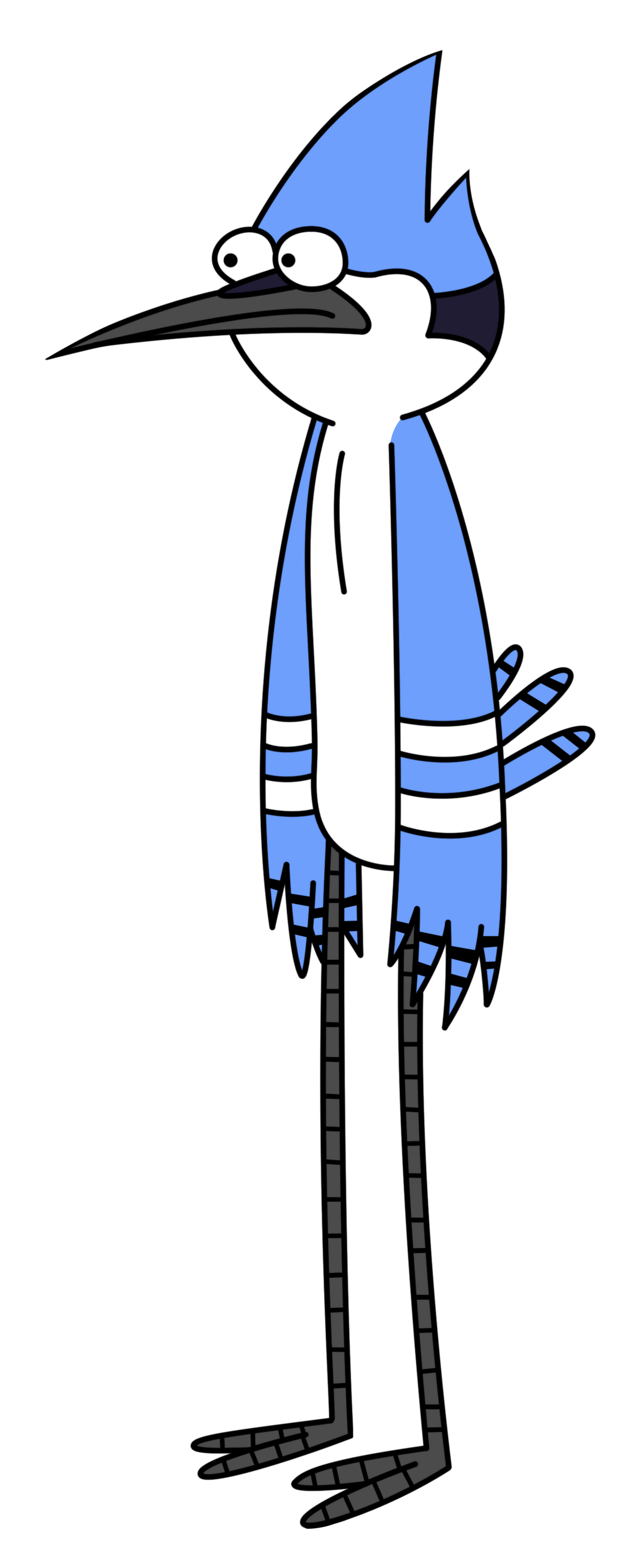 Mordecai | Un Show MΓ‘s Wiki | Fandom