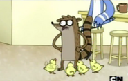 los patitos con Rigby