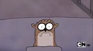 Rigby asus