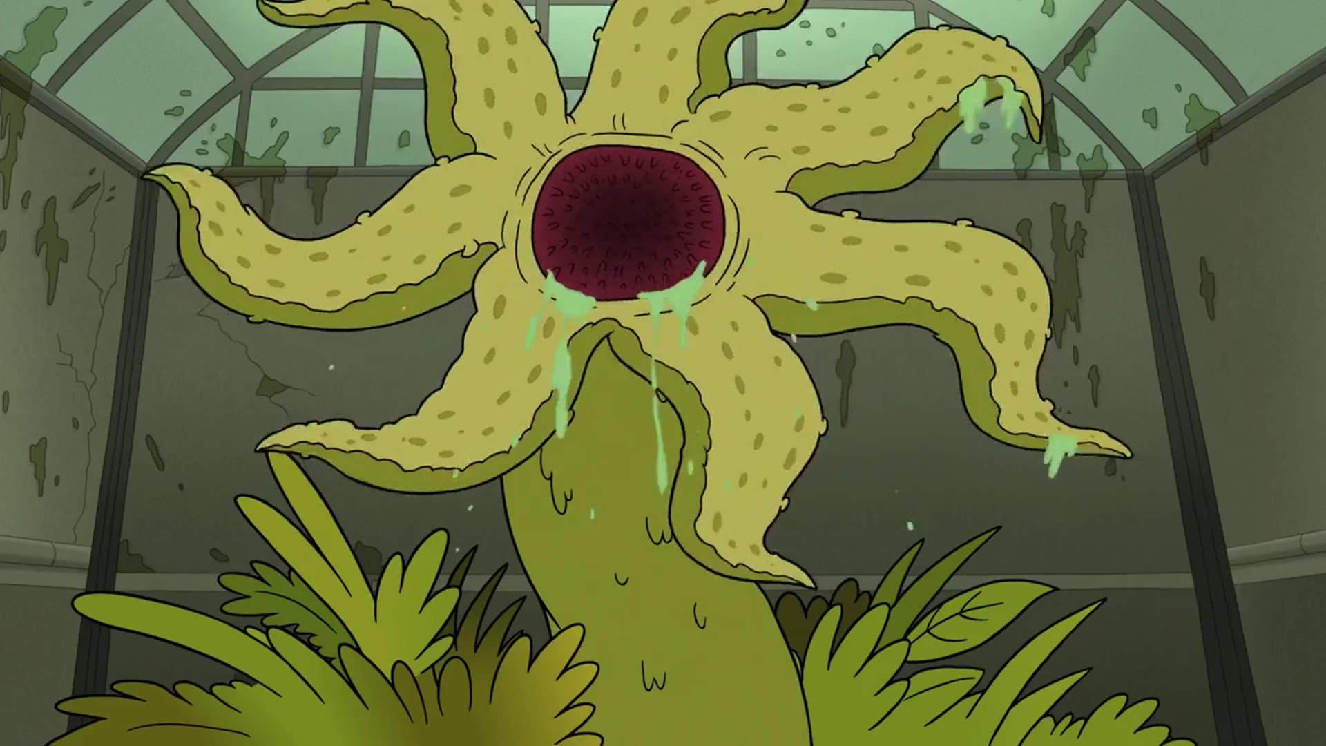 Afropop Worldwide | Audio Programs, image size:1920x1080