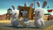 Box Rabbid