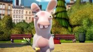 Rabbid Mozart