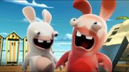 Sun Burn Rabbid