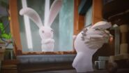 Long Ears Rabbid