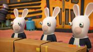 Judge Rabbid 2, Judge Rabbid 3 and Judge Rabbid 4