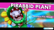 Pirabbid Plant