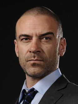 Alan van Sprang1