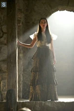 RE208a 0221b 595 slogo.jpg (37 KB)