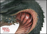 Dragon Bust from Sideshow Collectibles.