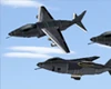 American Harrier Icon