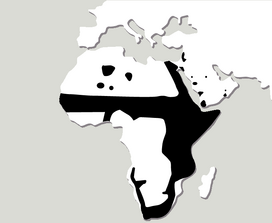 MAPA DamanRoquero
