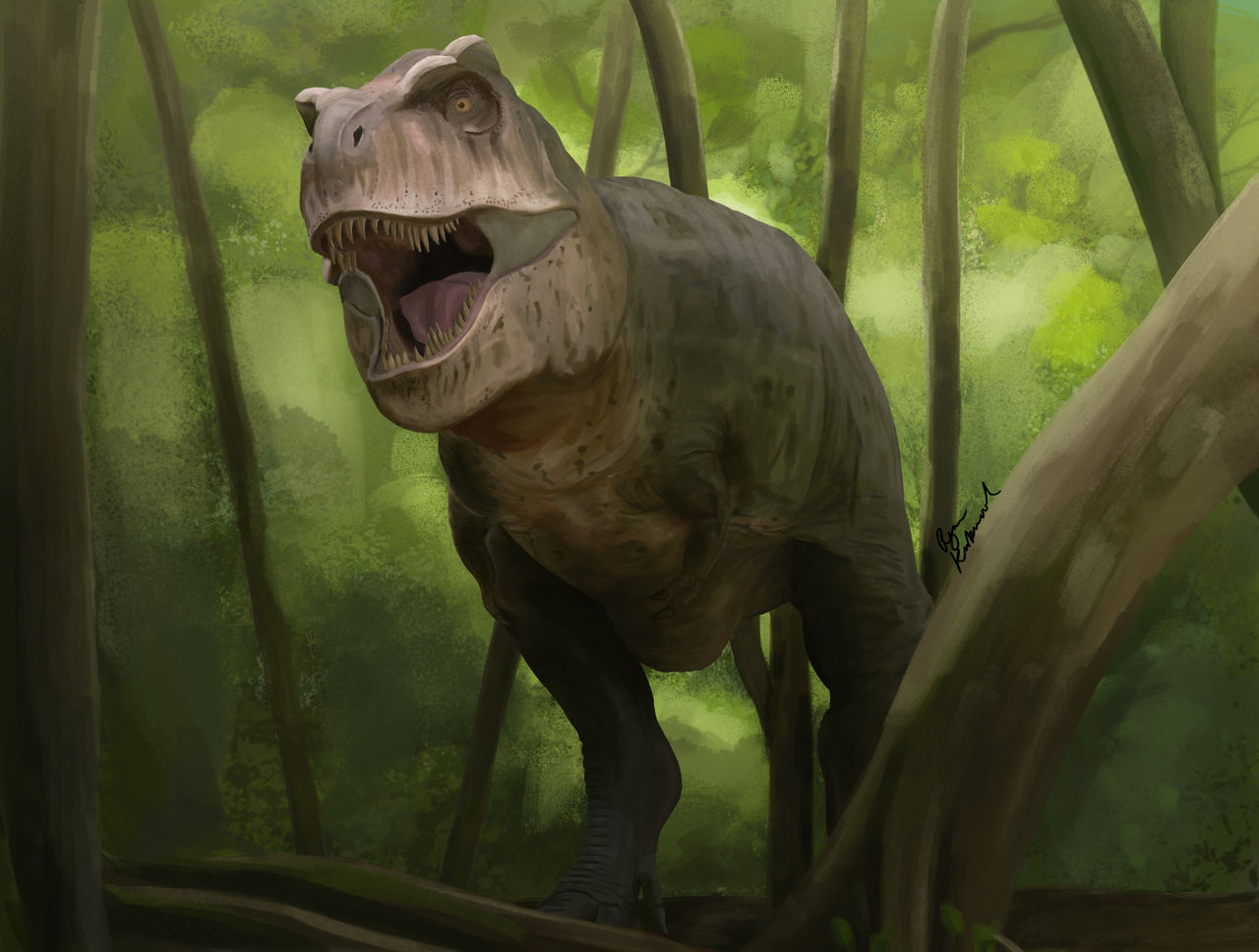 Tiranosaurio rex | Wiki Reino Animalia | Fandom Tiranosaurio rex | Wiki Reino Animalia | Fandom