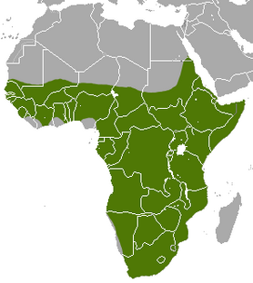 Aardvark area