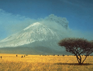 Sabana.png