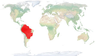 Mapa TapTer