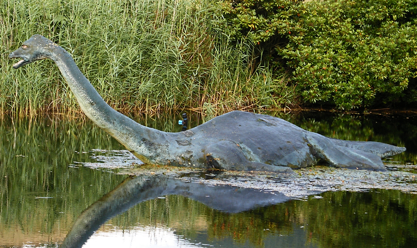 Monstruo del Lago Ness Wiki Reino Animalia | Fandom