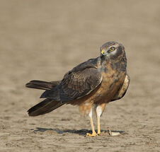 Unnamed (1)cbgjklio.jpg