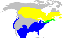 Amarillo: reproducción Verde: todo el año Azul: sólo en invierno