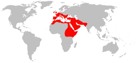 Rhinolophus hipposiderosMap