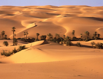 Desiertos.png