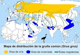 Distribución grullas