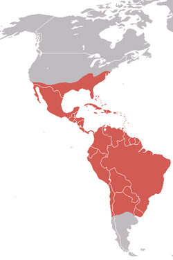 250px-AmericanBlackVultureMap