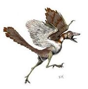 Archeoteryx