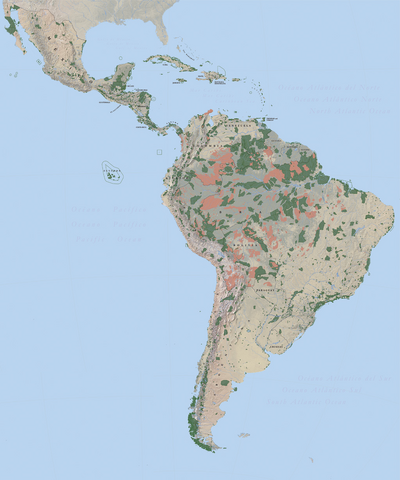 Neotropica